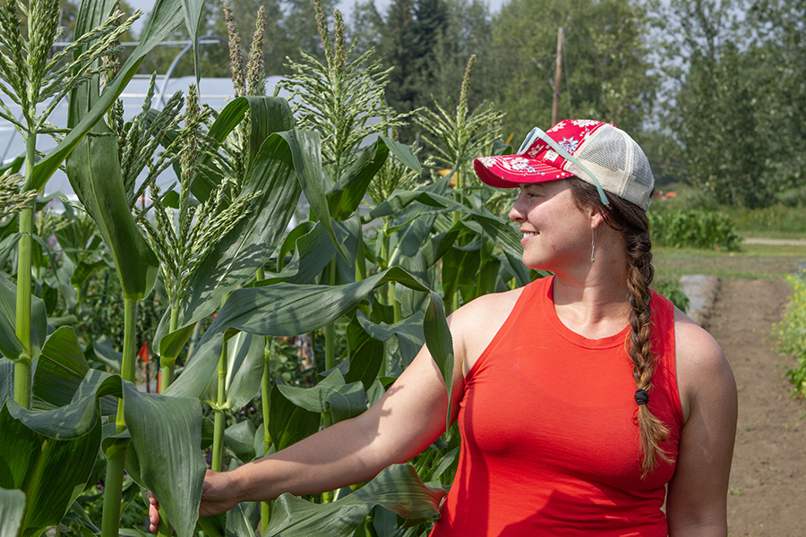 Glenna Gannon stands in a row of corn on the Fairbanks Experiment Farm